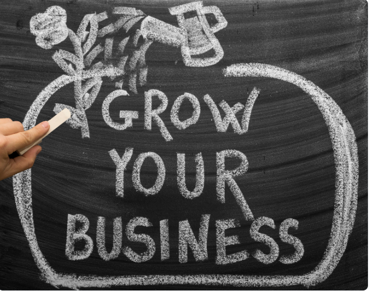 Website Development Services